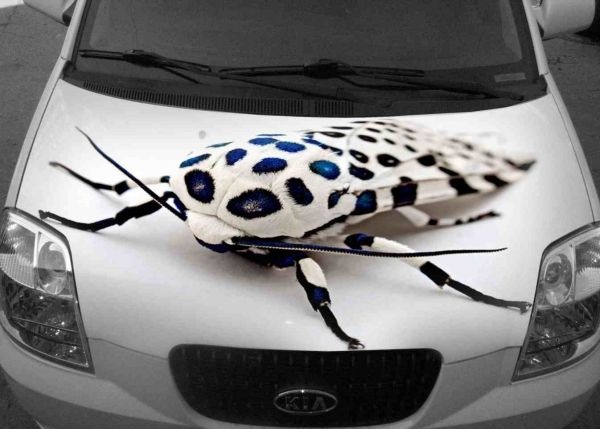 На самоклеющейся пленке